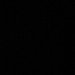 Meet your Posher, Trevor